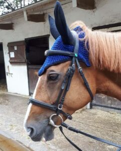 Bonnet pour oreilles de cheval en crochet avec filet, bonnet
