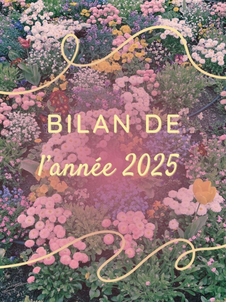 Bilan 2025 : une année éprouvante mais profondément humaine. Créativité, tricot, crochet et cap sur 2026, placée sous le signe de la reconstruction.